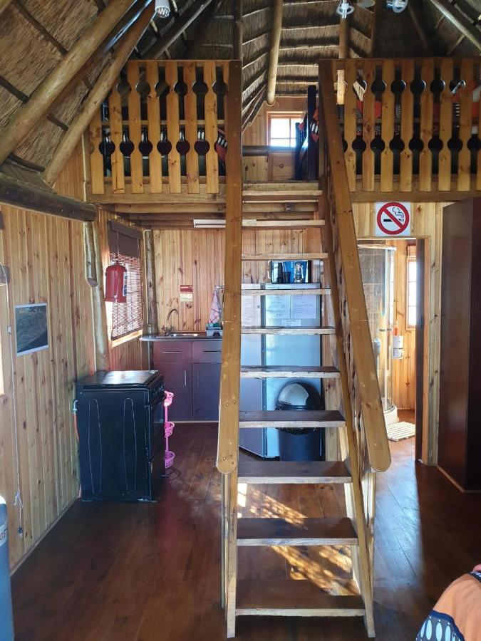 Honne-Pondokkies Hondeklipbaai Exteriér fotografie