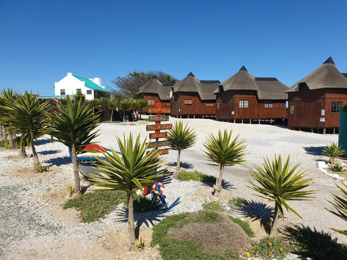 Honne-Pondokkies Hondeklipbaai Exteriér fotografie