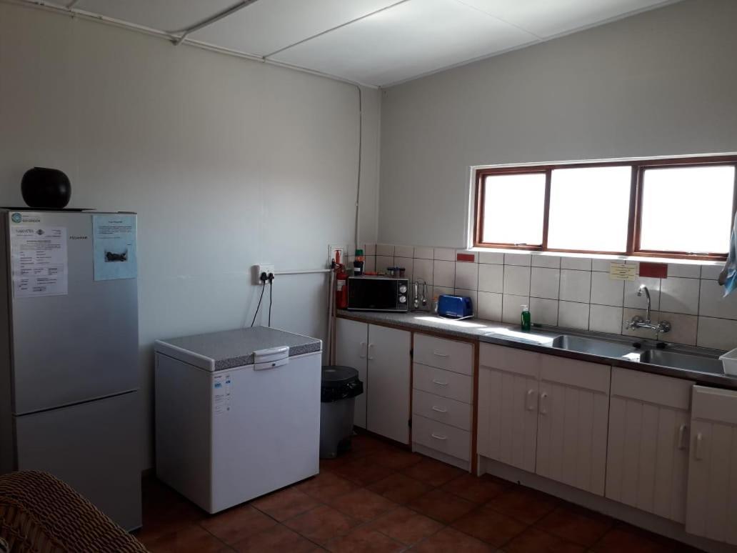 Honne-Pondokkies Hondeklipbaai Exteriér fotografie