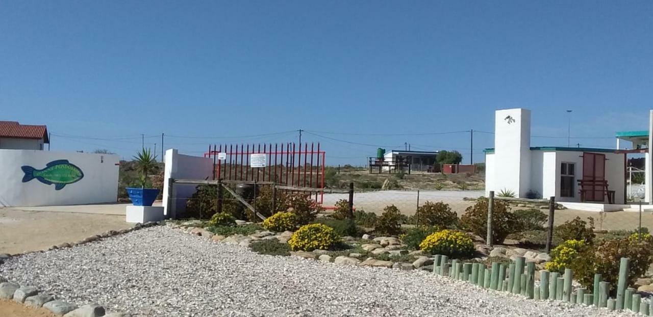 Honne-Pondokkies Hondeklipbaai Exteriér fotografie