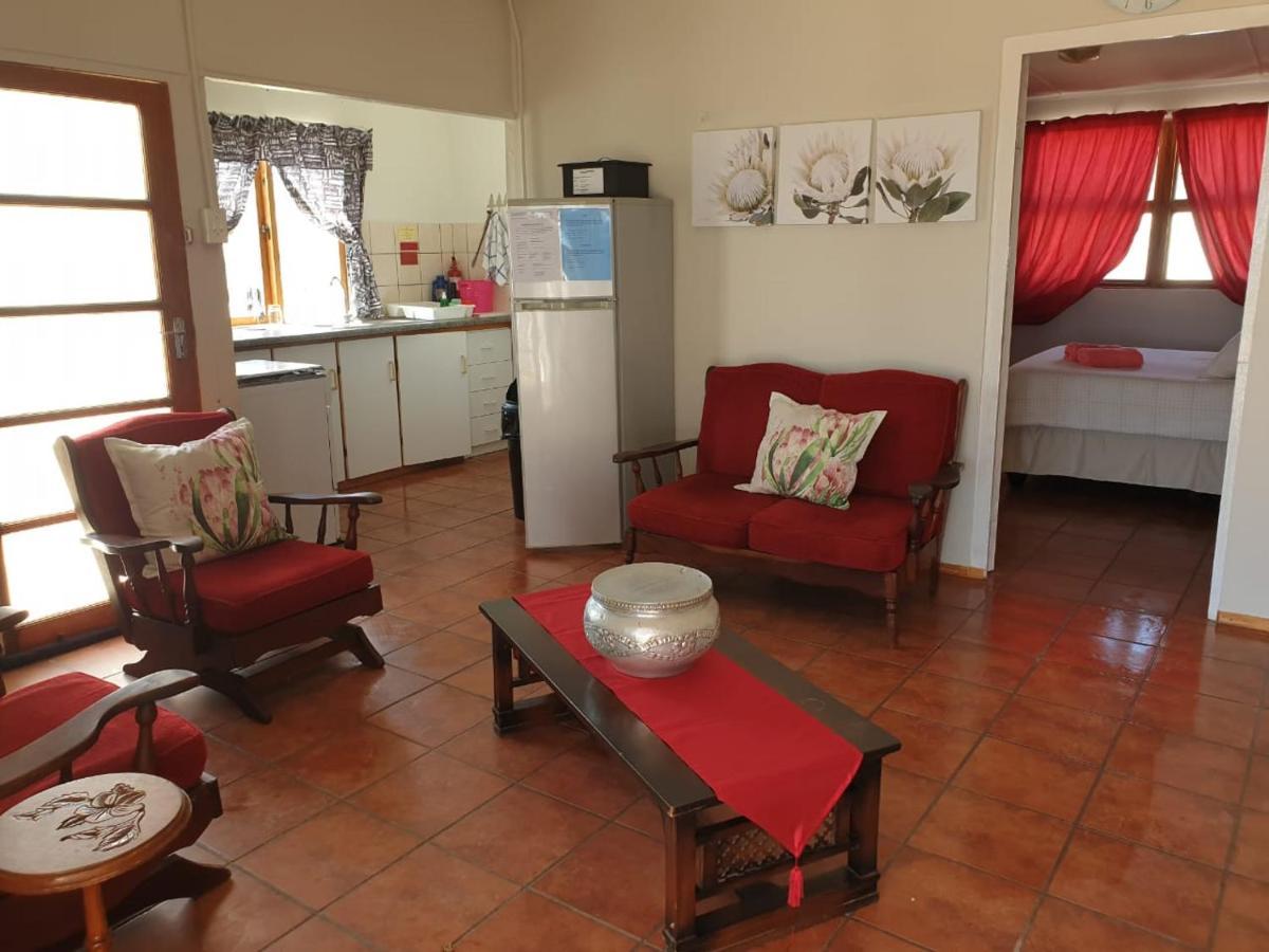 Honne-Pondokkies Hondeklipbaai Exteriér fotografie